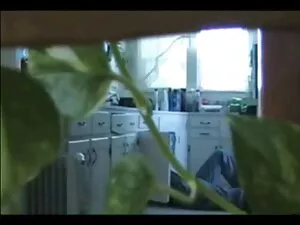Cadence szörös pinák ...
